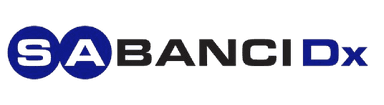 Sabancı Holding